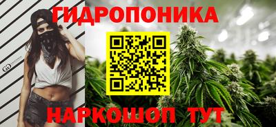 ешки Будённовск