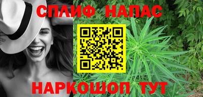ешки Будённовск